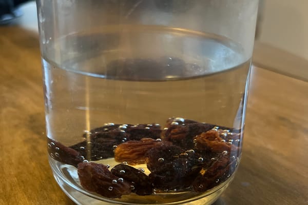 Raisins soaked in water